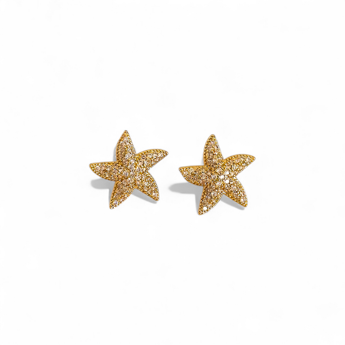 Aros Estrella de Mar